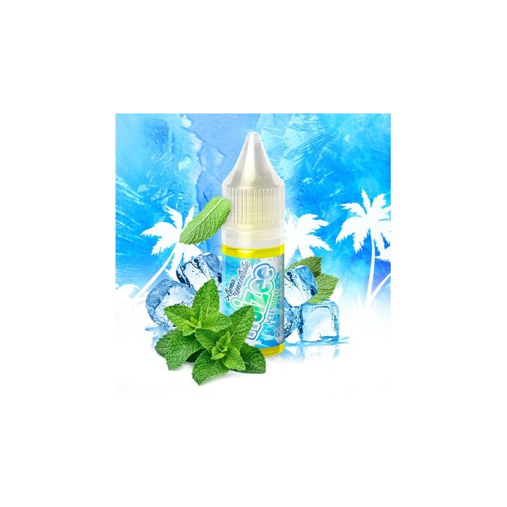 ICEE MINT AROMA CONCENTRATO 10ML FRUIZEE