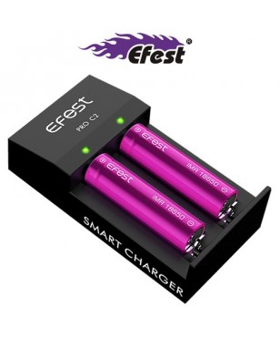 Caricabatterie Efest Pro C2