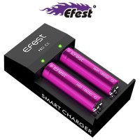 Caricabatterie Efest Pro C2