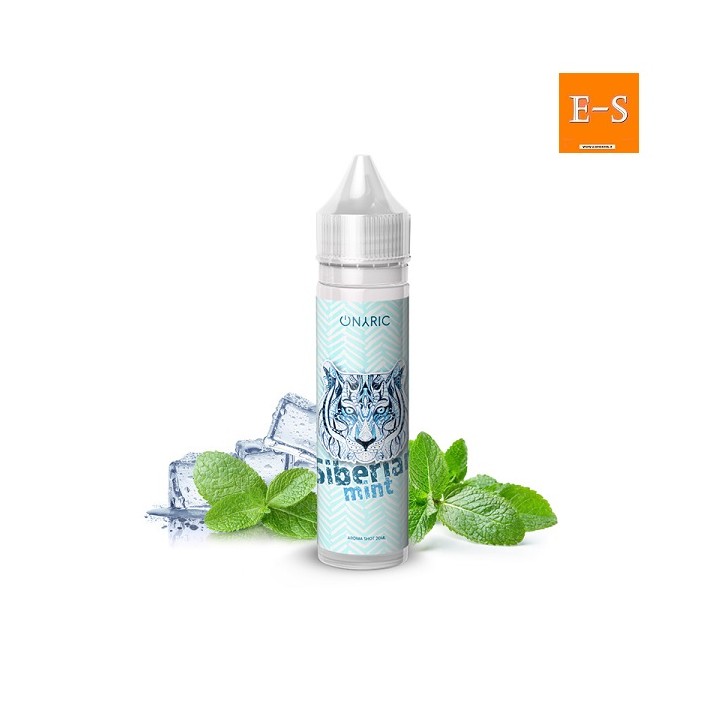 Menta Vaporice VaporArt Liquido Scomposto 20ml