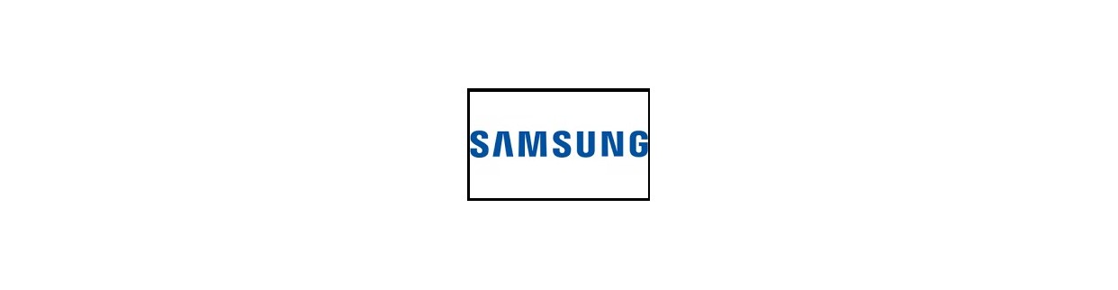 Batterie Samsung